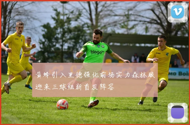 黄蜂引入里德强化前场实力森林狼迎来三球组新首发阵容